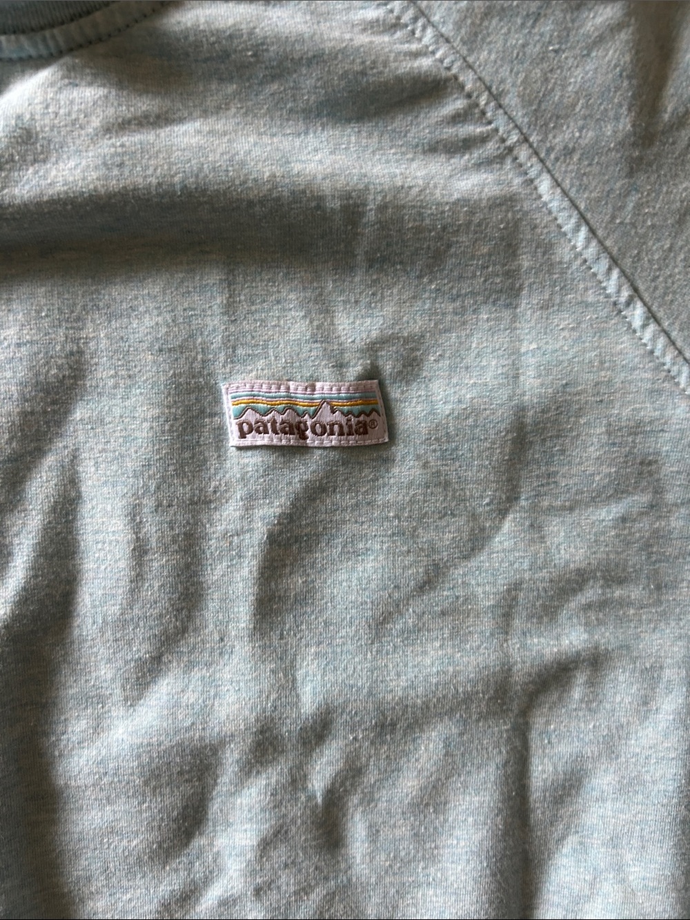 Patagonia women’s Pale Blue Crewneck Sweatshirt - Picture 3 of 6